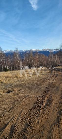 Teren de vanzare Sirnea- Comision 0% - 2