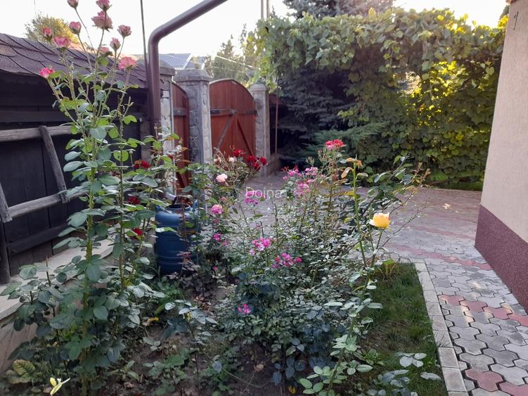 Vanzare vila Pacani [proprietar, 0 Comision] - 2