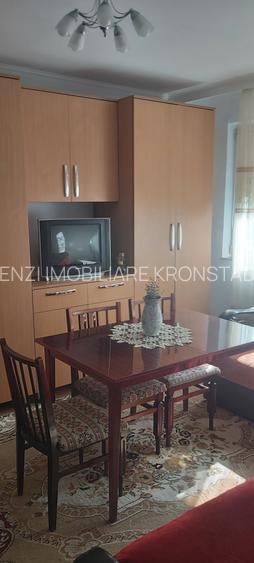 Garsoniera Zizinului - 2