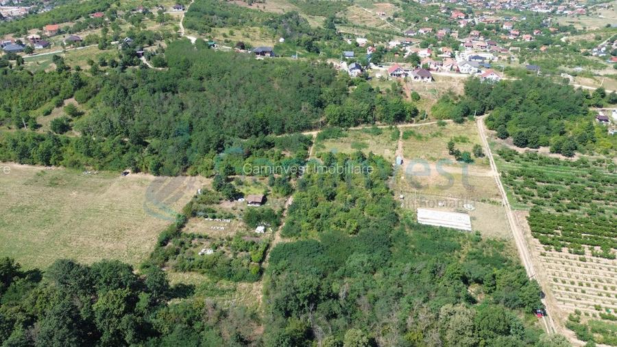 Teren intravilan de vanzare, Paleu, Bihor - 4