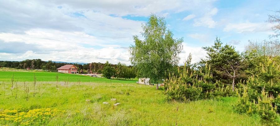 Teren in localitatea Reci,langa lacuri - 3