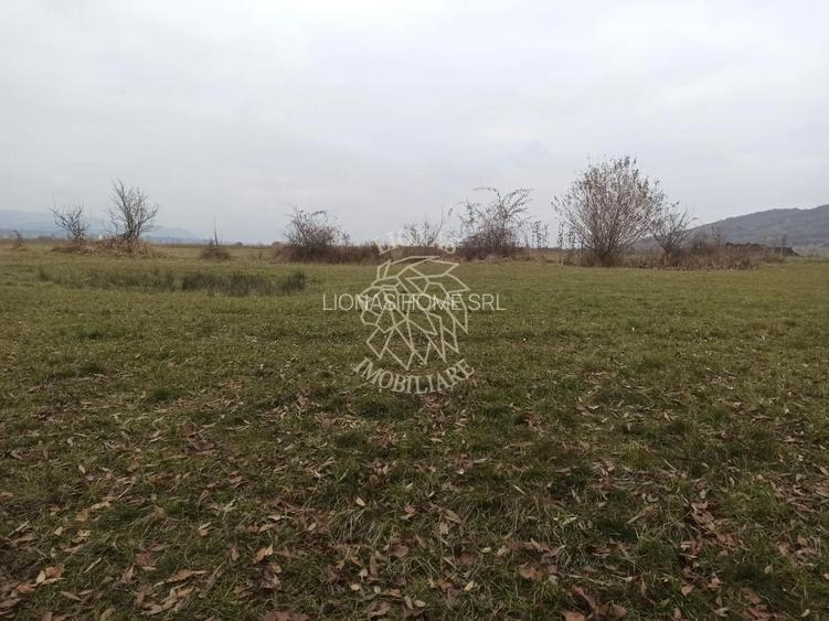 Teren 19611 mp (1,96 Ha)-ideal agricultura, investitie-Zona Aerodrom - 2