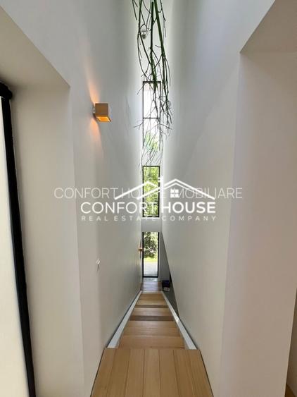 Vila moderna, P+2, mobilat, IANCU NICOLAE - 14