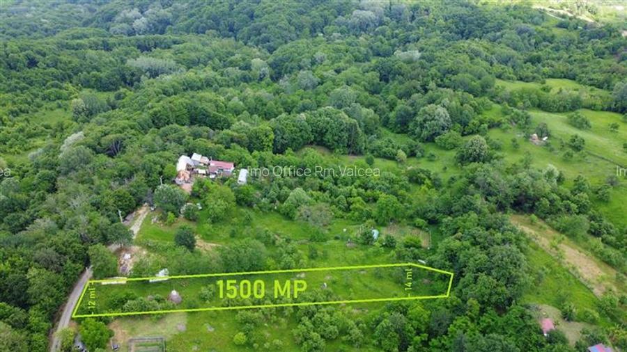 DEALUL MALULUI, TEREN 1500 MP INCONJURAT DE PADURE - 2