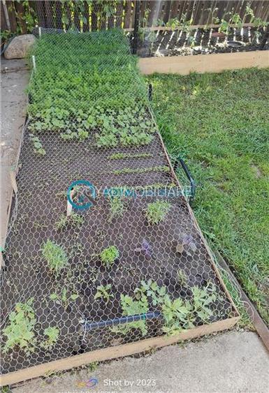 Royal Imobiliare - Vanzare Vila zona Dorobantul - 21