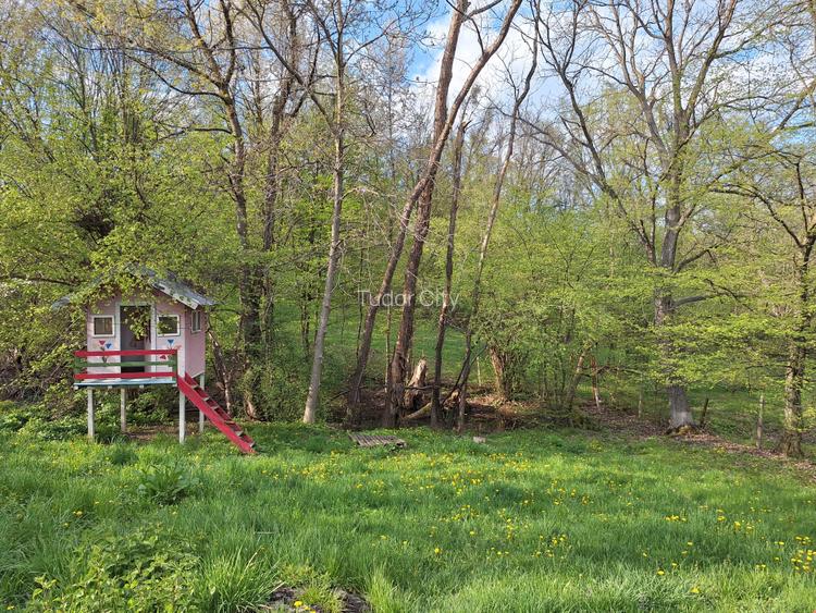 Moșia cu casa în vârf de deal, Scorțeni - Prahova, comision 0% - 20