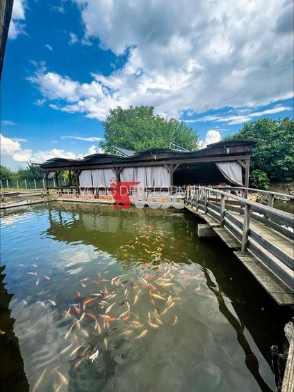 Oportunitate unică de investiție – Complex piscicol cu restaurant - 10