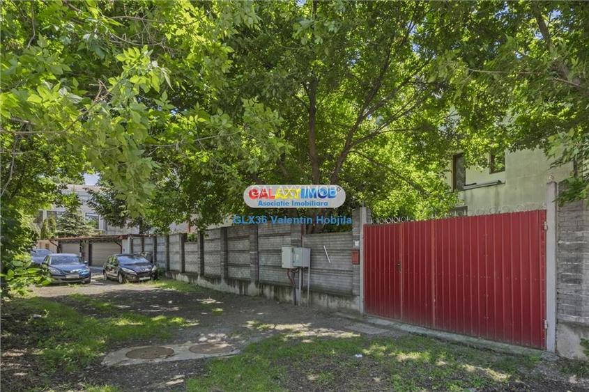 Vanzare vila Lacul TEI  PETRICANI INSULA  LAC 1900 MP TEREN - 8