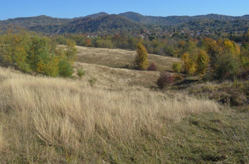 OFERTĂ SPECIALĂ! Teren intravilan de vânzare în Câmpina pe Dealul Muscel - 3