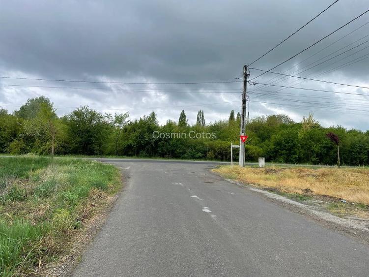 611 mp, ideali pentru viitorul familiei tale! Fervenția II - Apuseni Dumbrăvița - 4