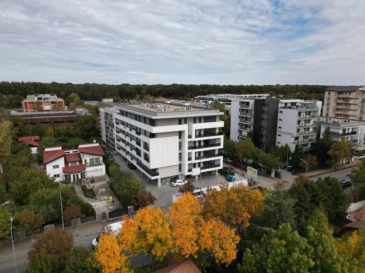 3 CAMERE - IANCU NICOLAE - BLOC NOU LANGA PADURE