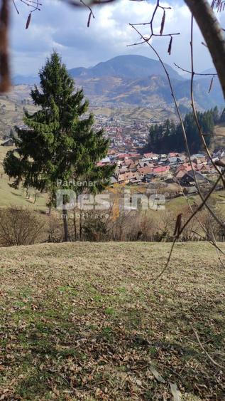 Teren 5000 mp, ideal cabana, pensiune, in zona de interes turistic Rucar-Bran