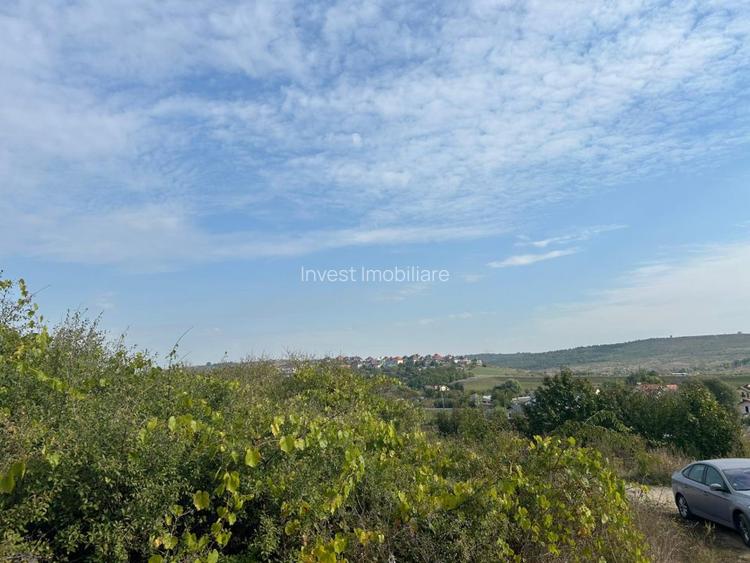 TEREN INTRAVILAN , 500 MP , LUNCA CETATUII-CARTIER CRIHAN - 3