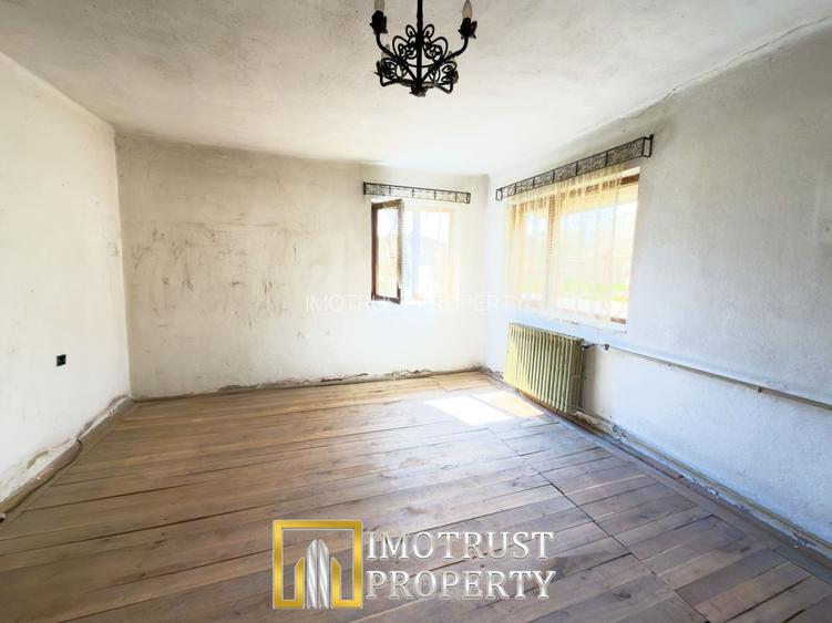 Colț de natură: casă + teren mare în Săvârșin - 4