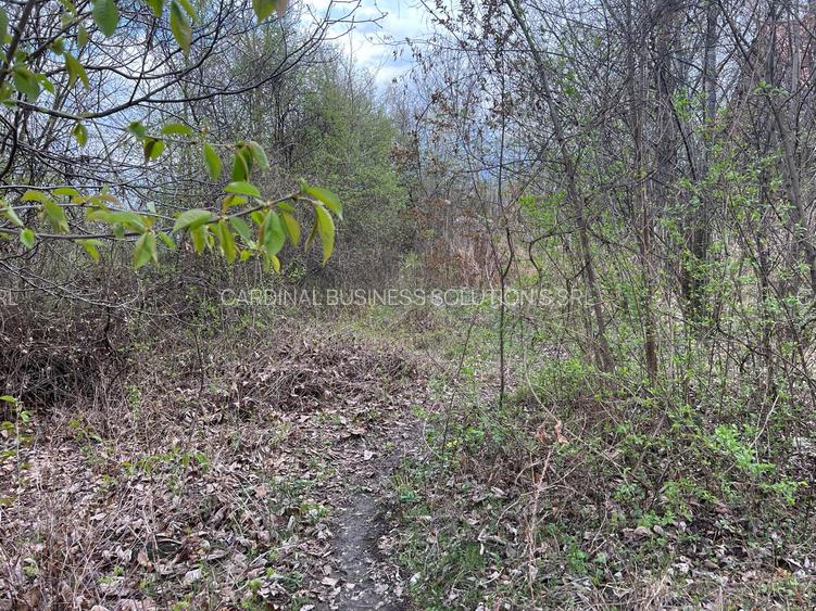 Breaza - str.Plaiului, Coasta Berzei nr.54, teren 1400 mp - 6