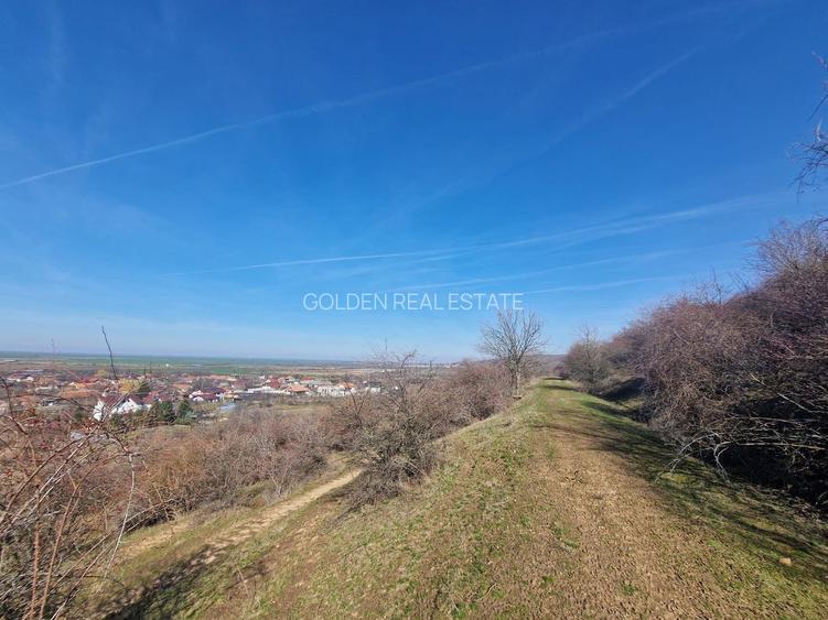 Teren extravilan,  zona si priveliste superba, Cuvin - 4