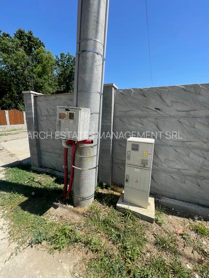 Ordoreanu, Clinceni, Padure - 4