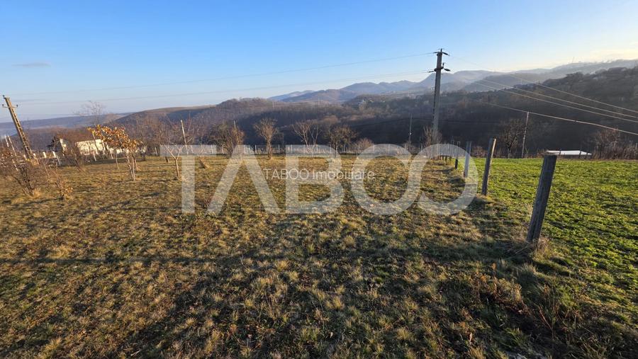 Teren 1974 mp intravilan de vanzare in Loman judetul Alba - 3