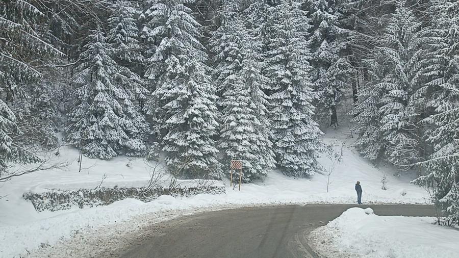 Vanzare teren 900 mp/25 ml toate utilitatile, Predeal laga Cabana Trei Brazi - 12