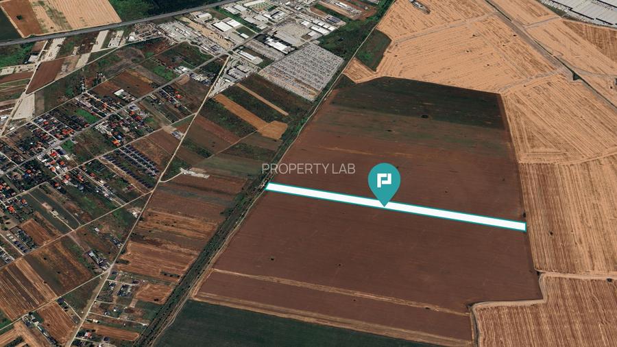 Teren de vanzare 28100 mp în Ciorogarla, Ilfov - 3