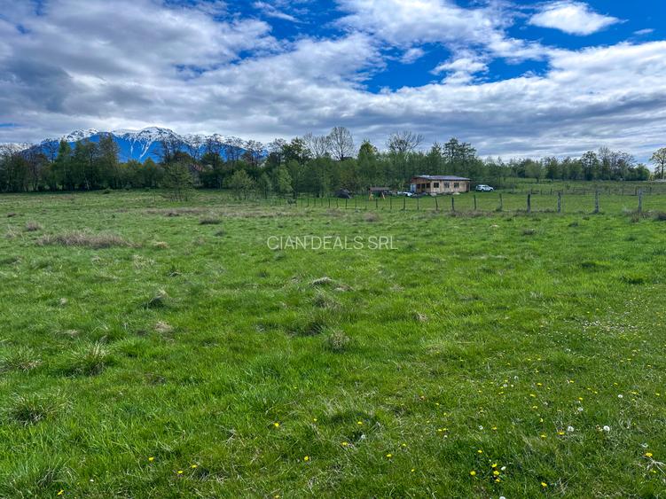 Teren Bran Zarnesti 3 km Castelul Bran 25 km Brasov - 5