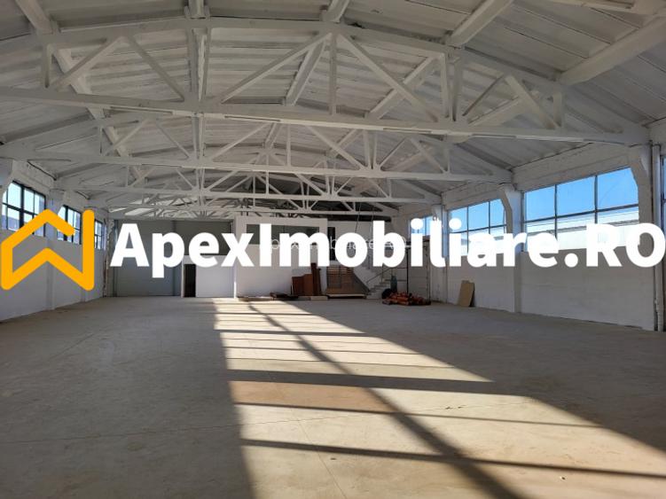 Hala Industriala Xenia – 1800 mp, Acces TIR, Parcare 50 Auto - 16