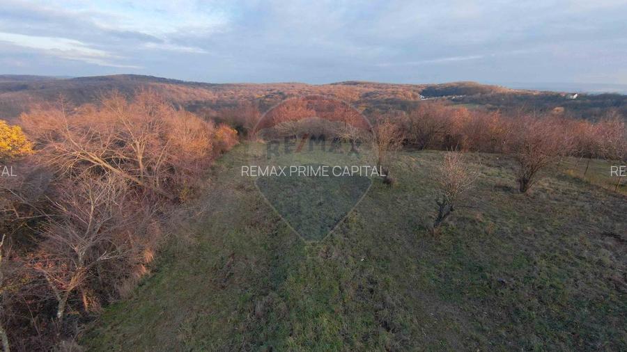 Teren intravilan de vânzare 915 mp – Săldăbagiu de Munte - 6