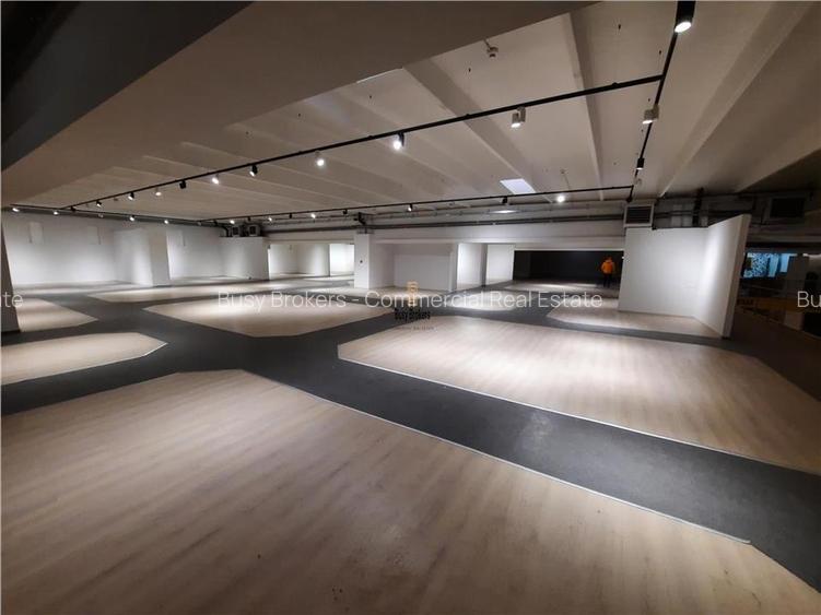 Spatii Comerciale - 500 mp - Showroom - Comert - 2