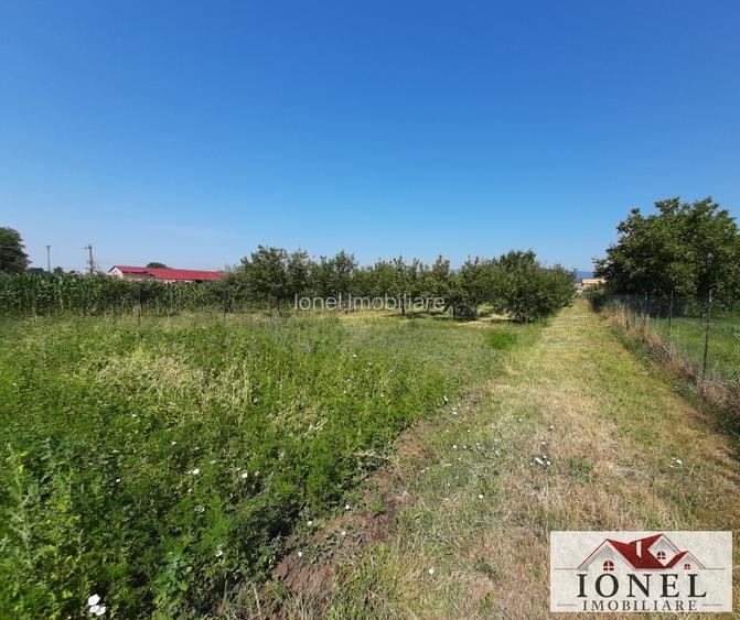 Casa de vanzare in Vintu de Jos - 8