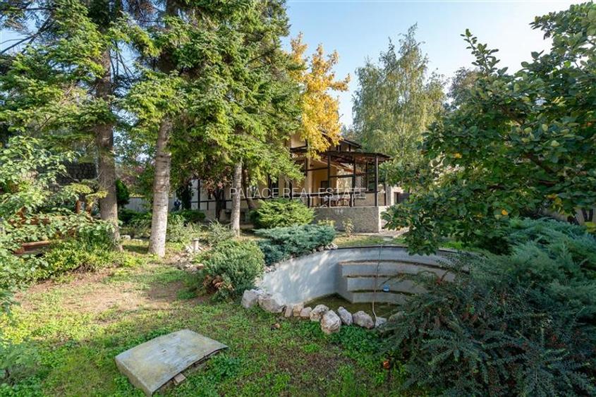 Conac de lux in Zona Piata Chirila - 15