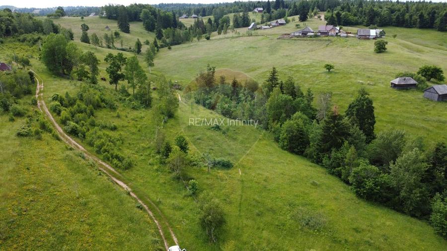 Teren de vanzare 8119 mp Calatele Padure.Muntii Apuseni - 7