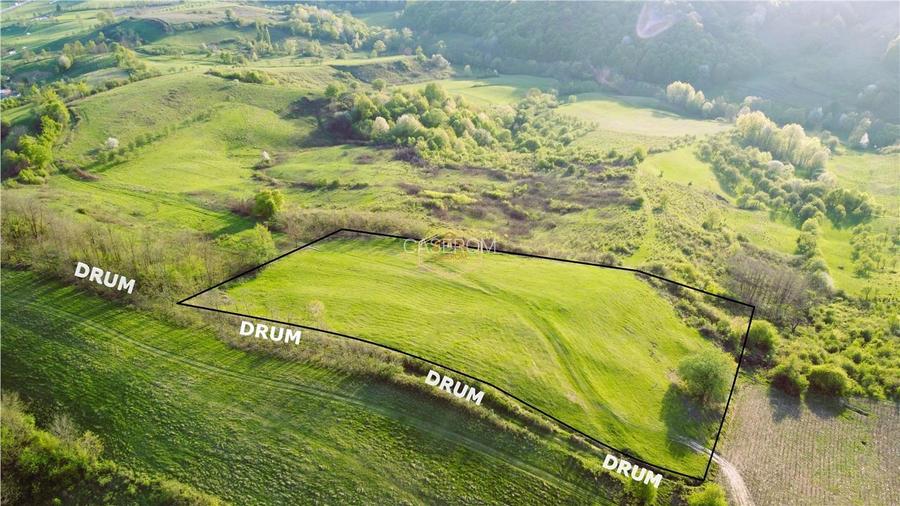 Teren de 9.500 mp in Maramures | Varf de deal, priveliste de pus in rama | Retre - 4