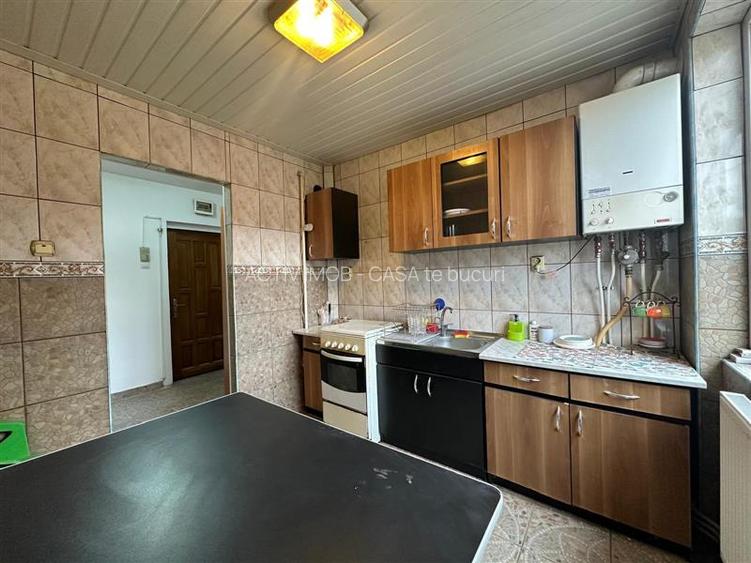 Resita, Apt. 3 cam.cf.1, semidec, Lunca - 20