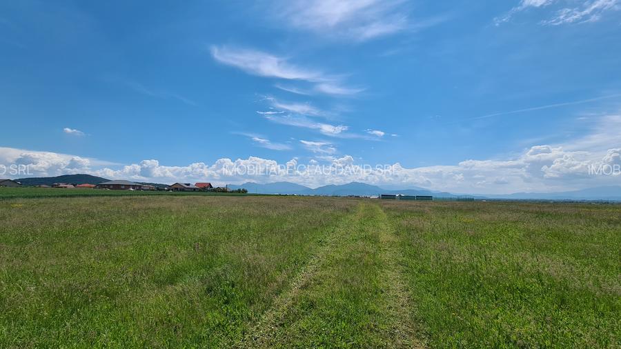 TEREN INTRAVILAN  BOD - 1200 mp pentru constructii case Sp+P+E+M - 14