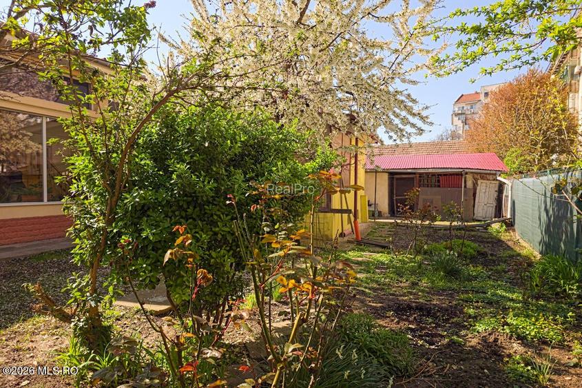 Lunei - Ion Neculce, 2 Apartamente. Mansarda 157 mp. Anexe, Lot 475 mp - 42