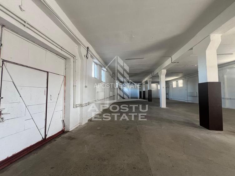 Hala în suprafață de 580 mp în Zona SAGULUI - 4