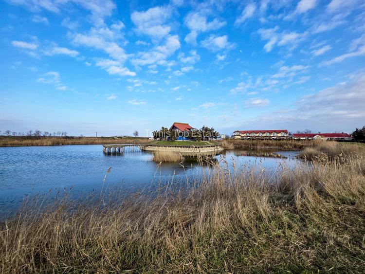 Oportunitate Unică! Teren de 35 Ha la 10E/mp cu Lacuri Medicinale și Acces Deltă - 3