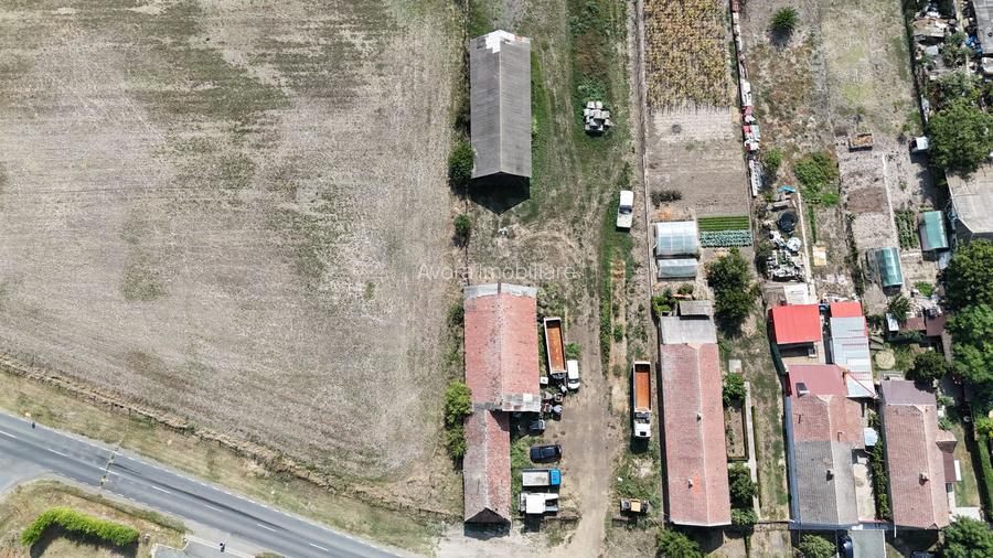 Teren intravilan Dudestii Noi - 8