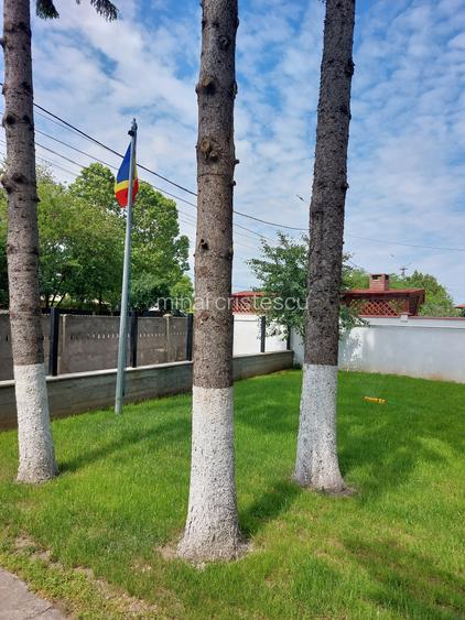 Afumați IF lângă București - casă/vilă transformată în pensiune turistică rurală - 3