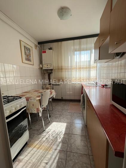 De inchiriat Apartament 2camere, zona Tudor Vladimirescu-Iulius Mall - 9