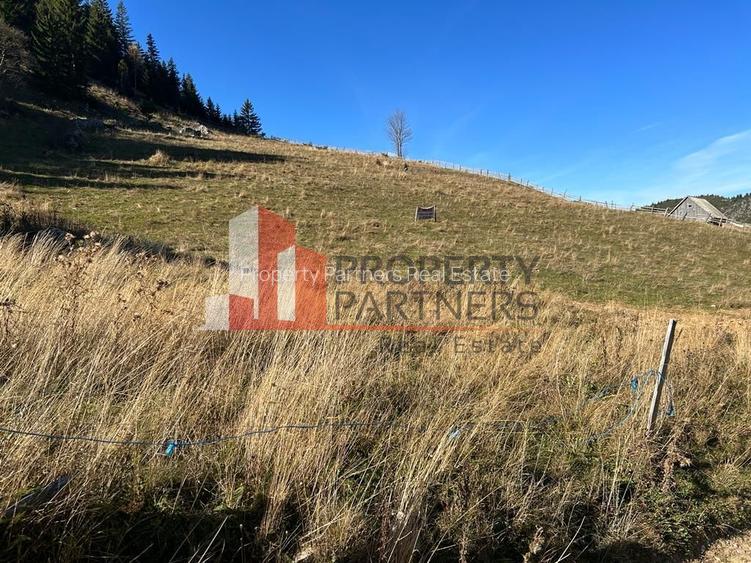 Teren Fundatica intravilan 4500 mp - 12