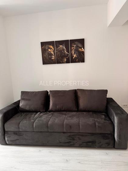 Închiriere 2 camere Metalurgiei - 10
