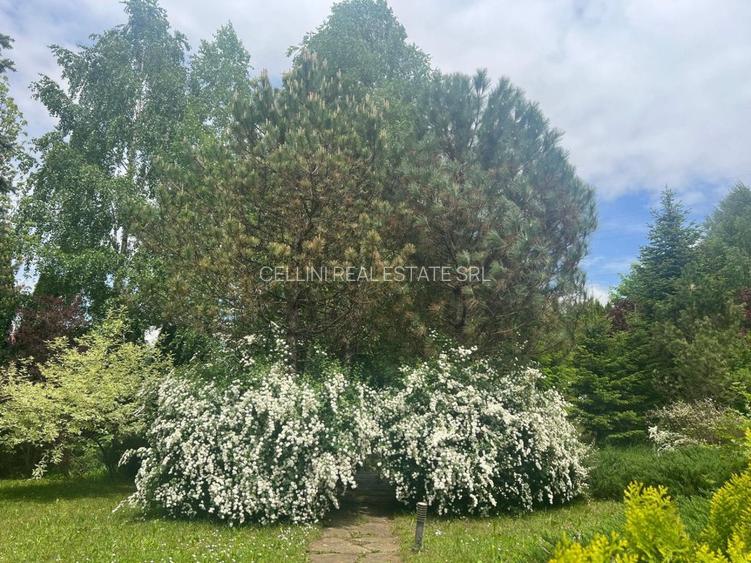 Vila de vis cu parc privat  — Panoramă Unică Spre Crucea Caraiman, - 28