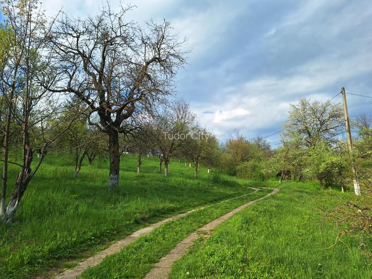 Moșia cu casa în vârf de deal, Scorțeni - Prahova, comision 0% - 15