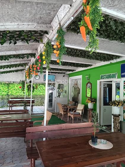 Vand pensiune si hotel la DN7/E81 Pitesti- Rm Valcea, teren 4 ha, 25euro/mp - 10