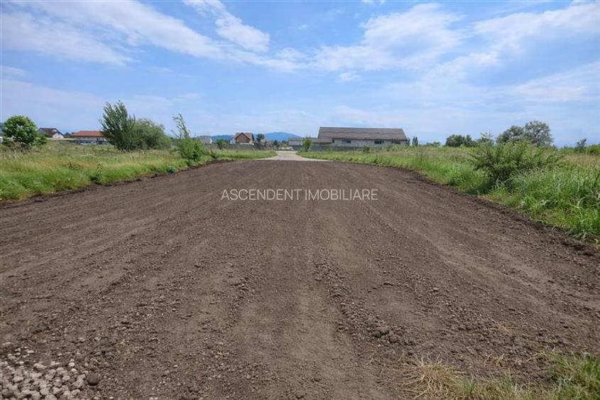 Teren intravilan: 480mp, recomandat constructie casa, Bod, Brasov - 3