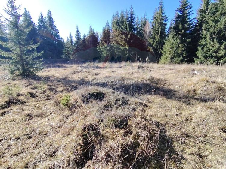 Teren 16,289mp Coverca / Drumul Bucinis - 12