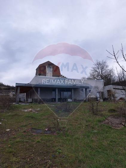 Pensiune/Hotel HANUL IZVORUL CRISUL REPEDE - 13