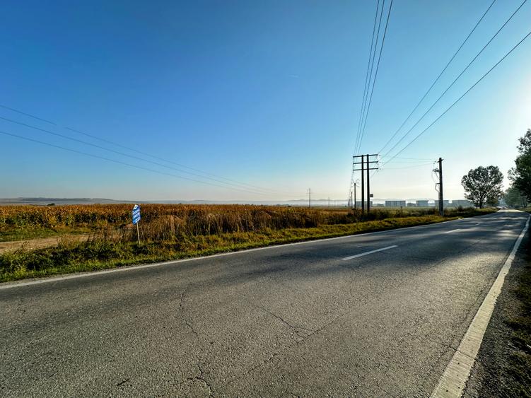 Vanzare teren 10.000mp Calea Surii Mici, direct de la proprietar!