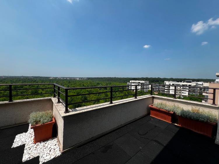 INCHIRIERE PENTHOUSE LUX ALEEA PRIVIGHETORILOR